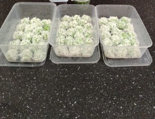Onde-Onde Gebus dan Lembut